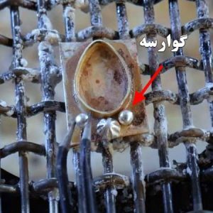 گوارسه طلاسازی