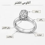 آشنایی با آناتومی انگشتر | شناخت رکاب، چنگه، تاج و دیواره در طراحی جواهرات