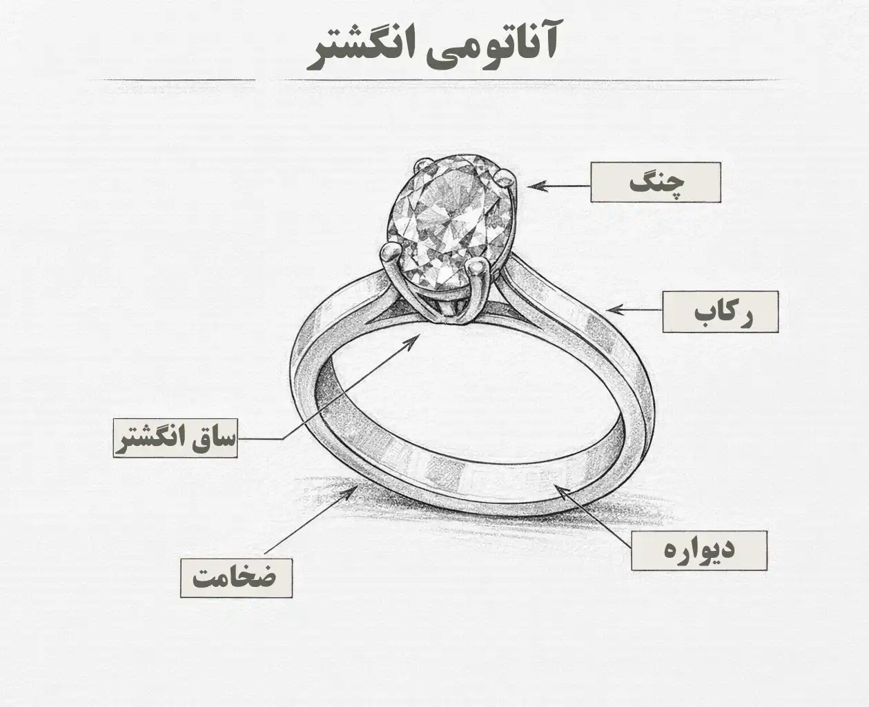 آناتومی انگشتر